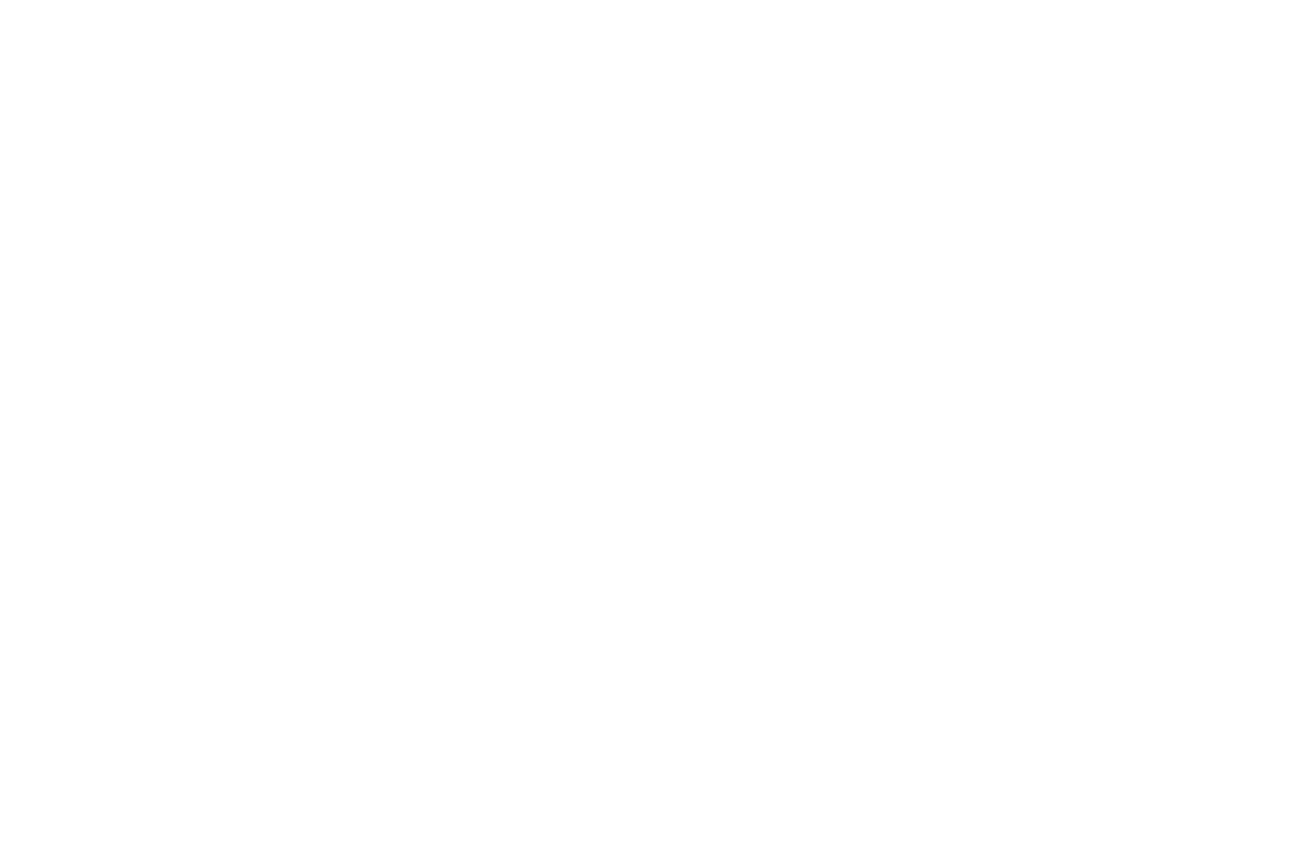 Amela Pantić Ella - Official Logo