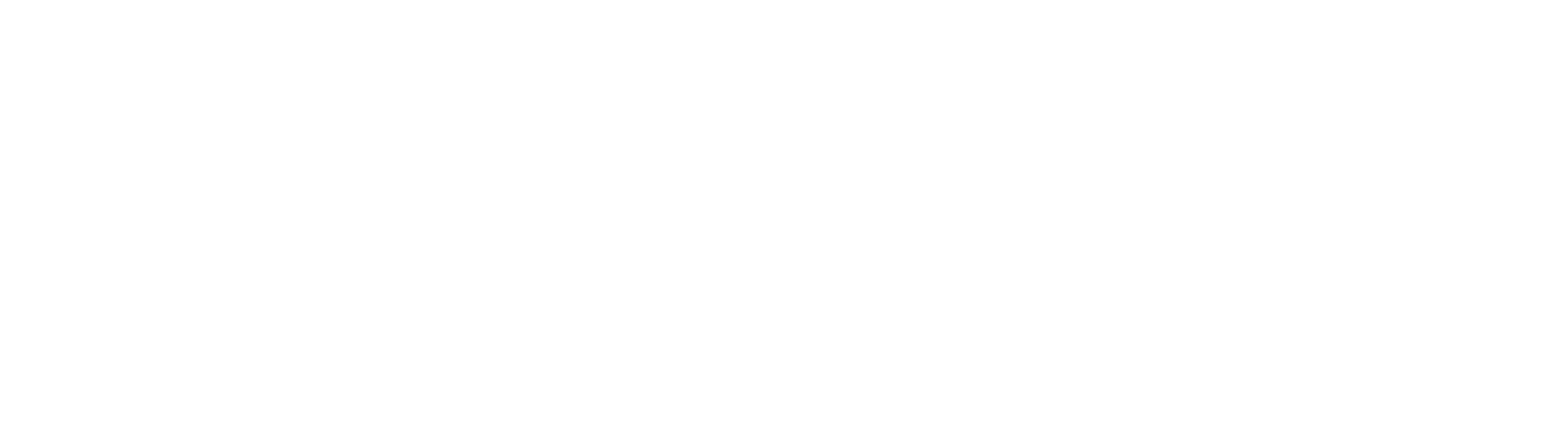 Amela Pantić - Official Logo